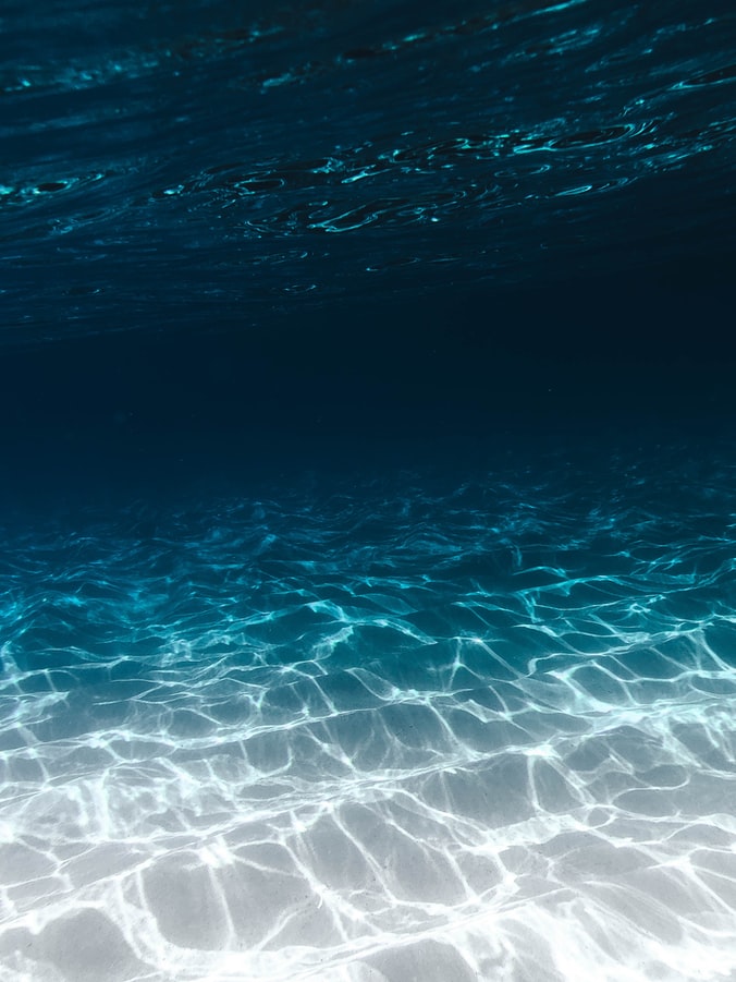 photo-1559825477-6f38d6332bb6 Deep - Ocean - Blog